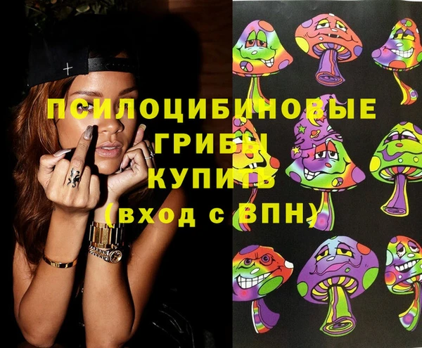 бошки Абинск