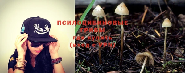 бошки Абинск